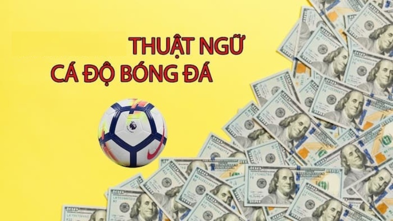 Các thuật ngữ phổ biến về kèo Châu Âu