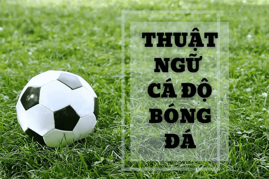 Các thuật ngữ trong cá độ bóng đá dành cho những tay cược